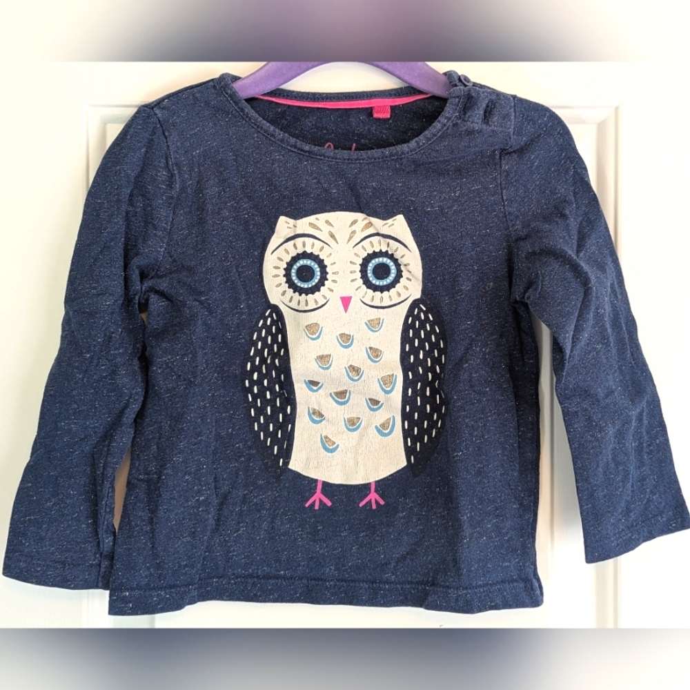 GUC Mini Boden Owl Sparkle shirt